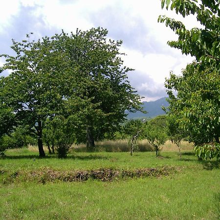Cirasellaetna Villa Sant'Alfio Exterior photo