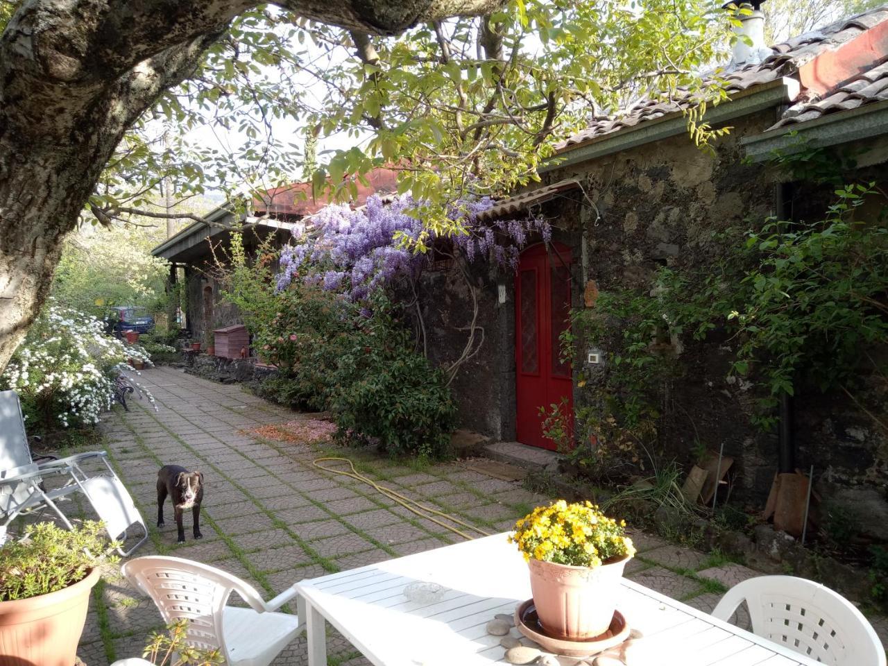 Cirasellaetna Villa Sant'Alfio Exterior photo